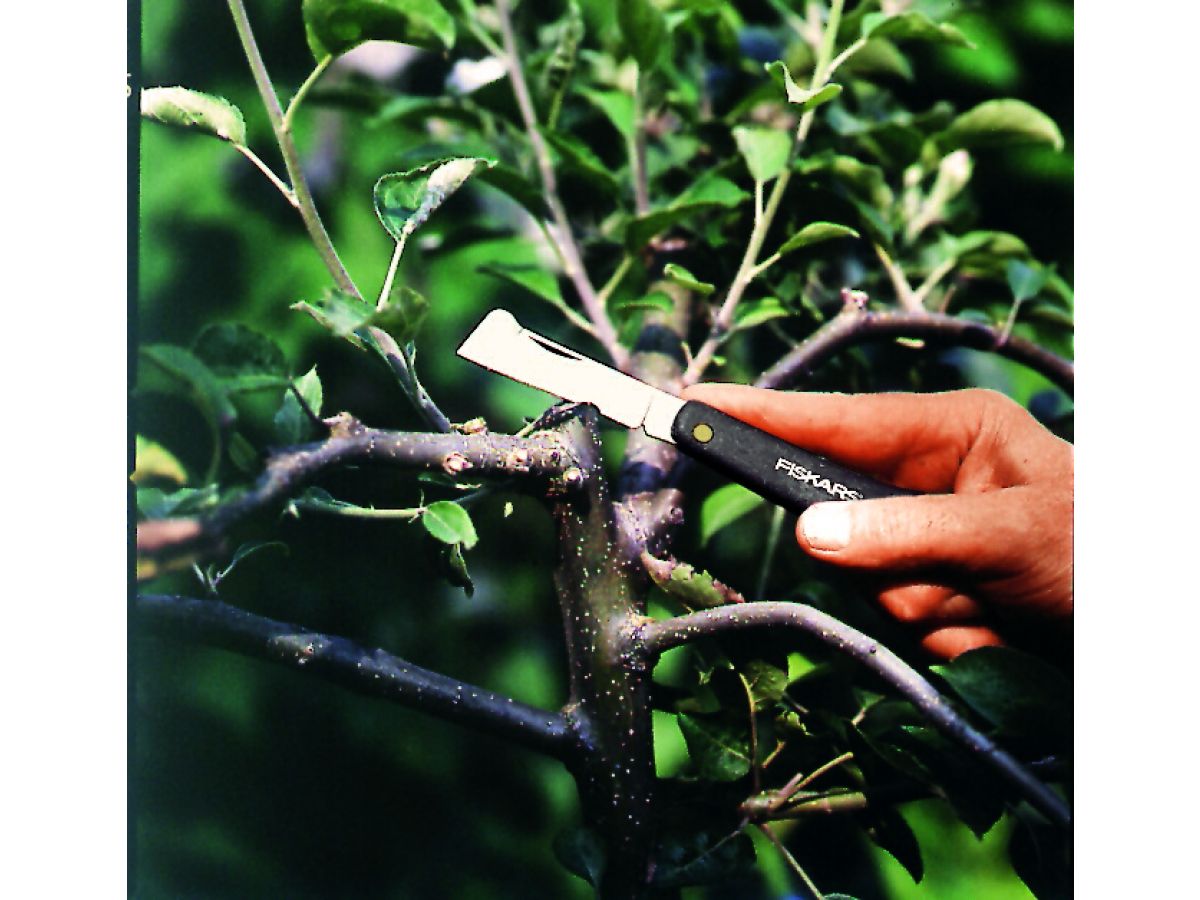 Нож сад. плоский для прививок 168мм Fiskars 1001625