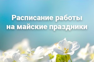 Мастер плюсу - 22 года!