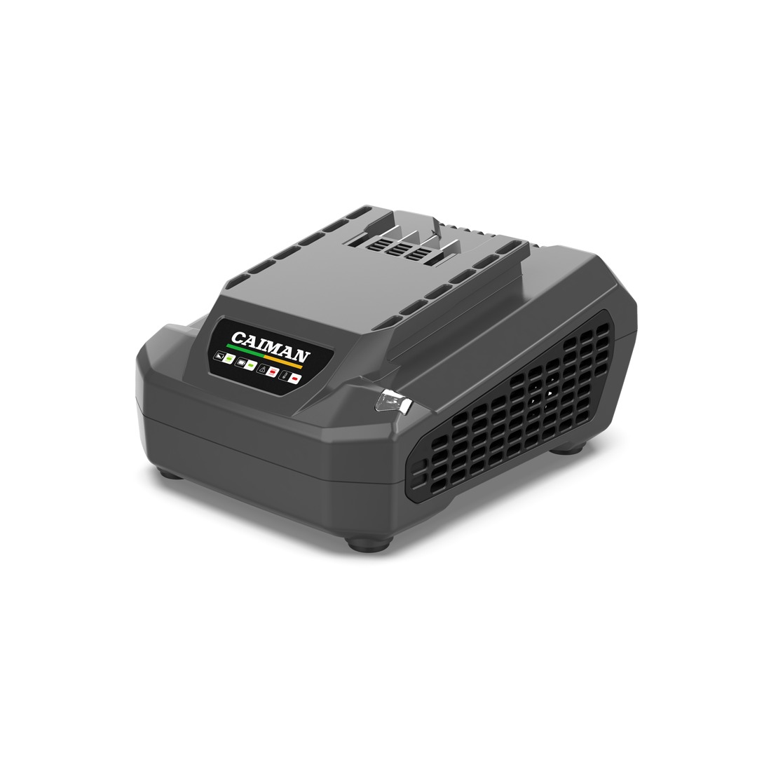 Зарядное устройство C6025 60V 2,5A Caiman ENO 01-010615-0001